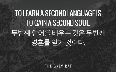 Wisdom