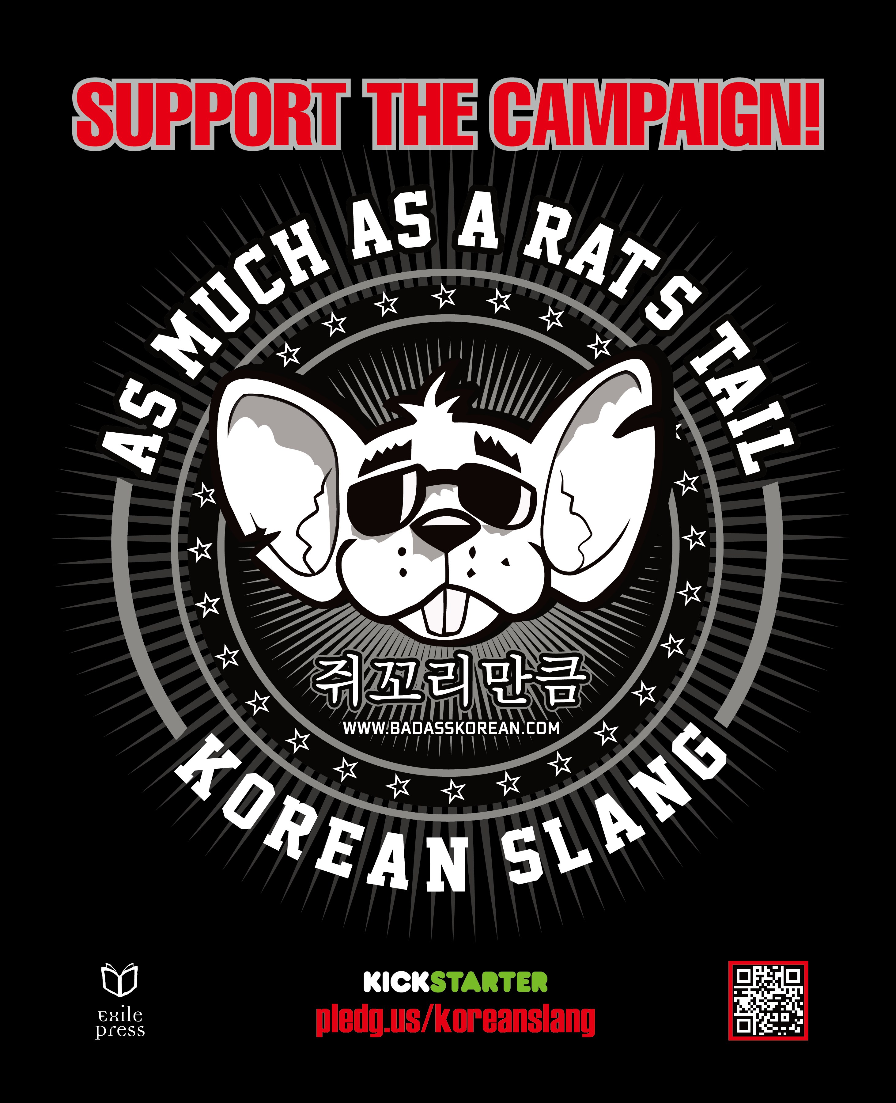 Launching our Kickstarter campaign
