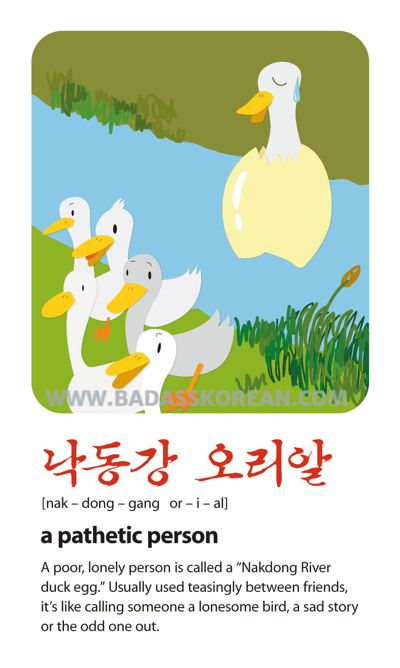 낙동강오리알 [nak-dong-gang ori al]