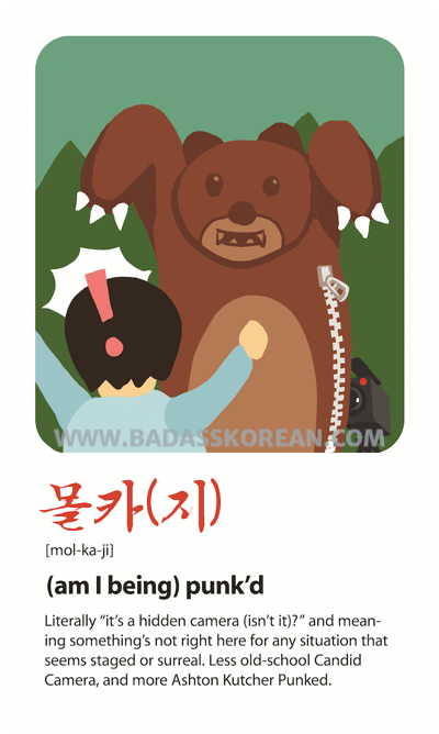 몰카지 — am I being punk’d; Korean slang card