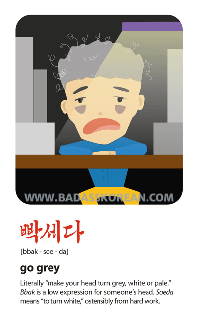 빡세다 — go grey from hard work get the life sucked from you; Korean slang card